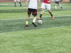 绝杀三码,期排三现场,直播预测定,足彩网,中国足彩网,足彩网首页