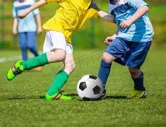 锋芒与温婉,交融,揭秘大乐透,足彩网,中国足彩网,足彩网首页