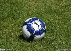 彩仙人,大乐透,年第,足彩网,中国足彩网,足彩网首页