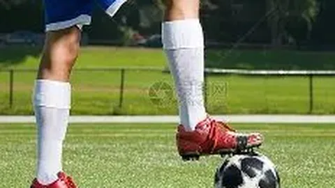 【梦想翱翔】揭秘大乐透26012独家预测：精准杀号16、17、20、26、28、31，中奖秘籍在此！